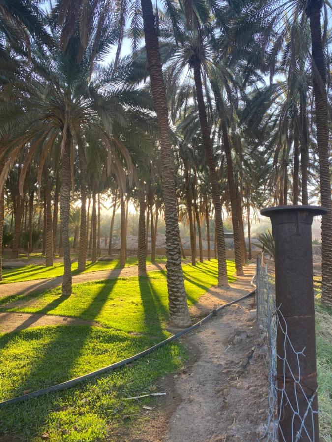 Sunset Alula Villa- العلا Luaran gambar